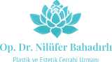 nilüfer bahadırlı